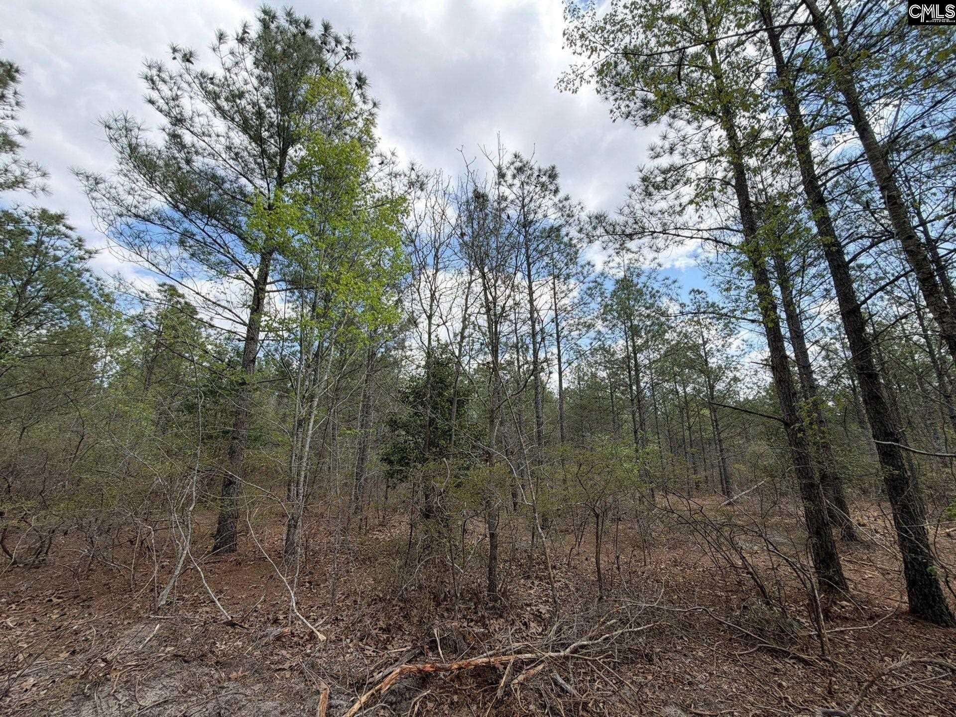 Ca 4 Mt. Calvary Road  Photo 15