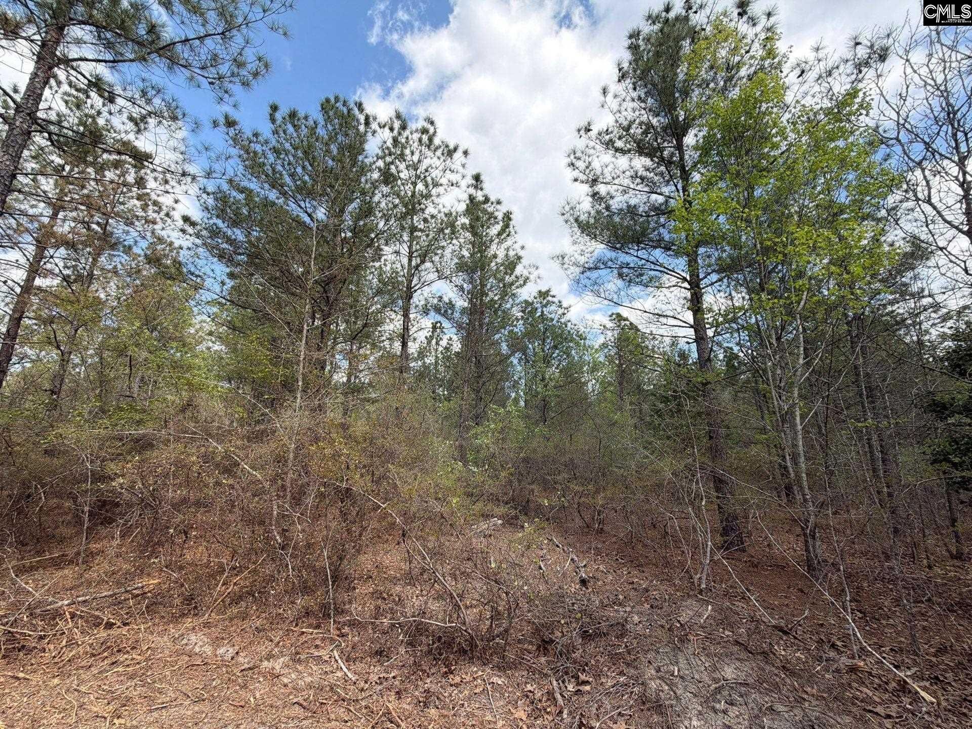 Ca 4 Mt. Calvary Road  Photo 16