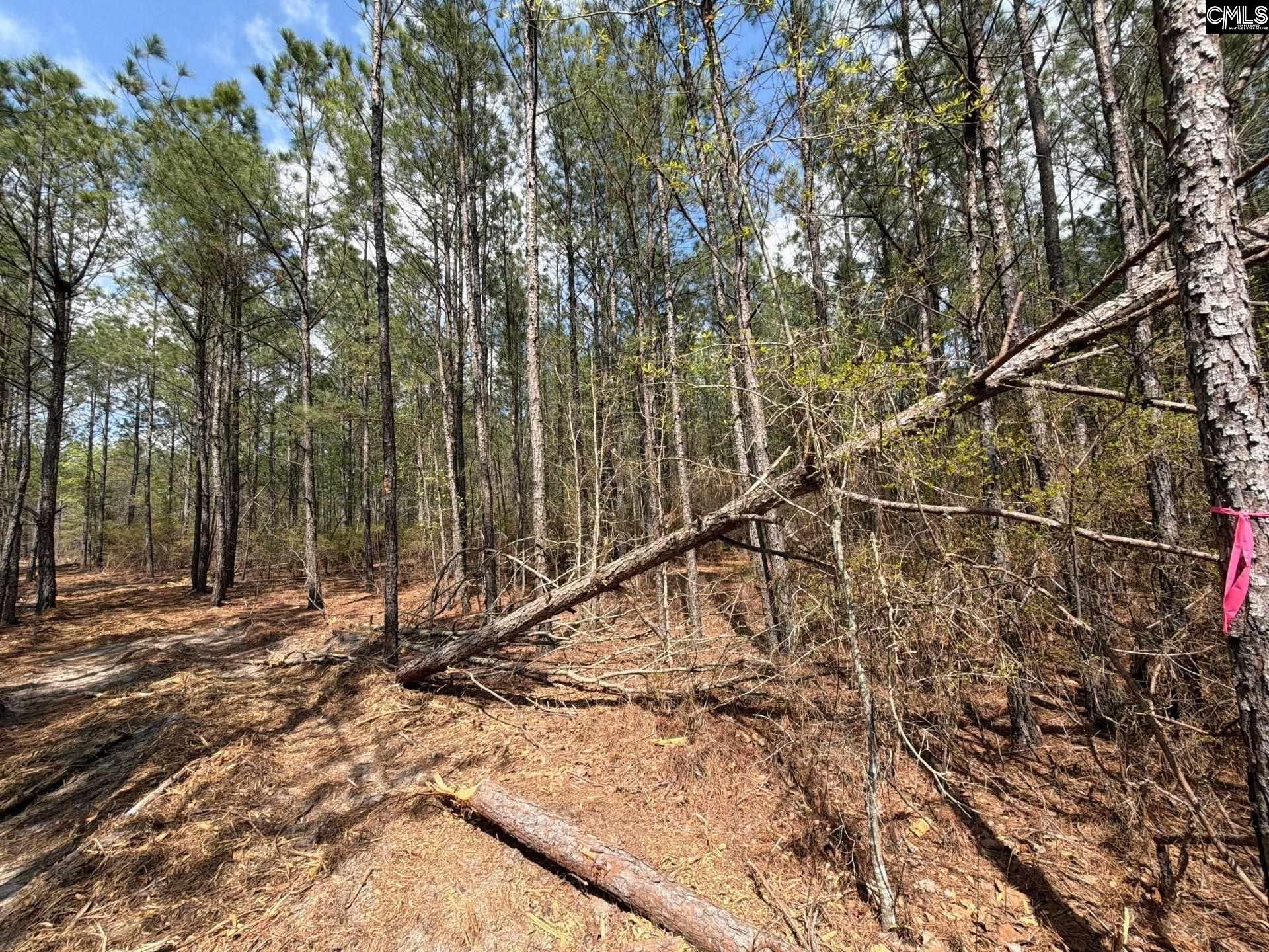 Ca 4 Mt. Calvary Road  Photo 17