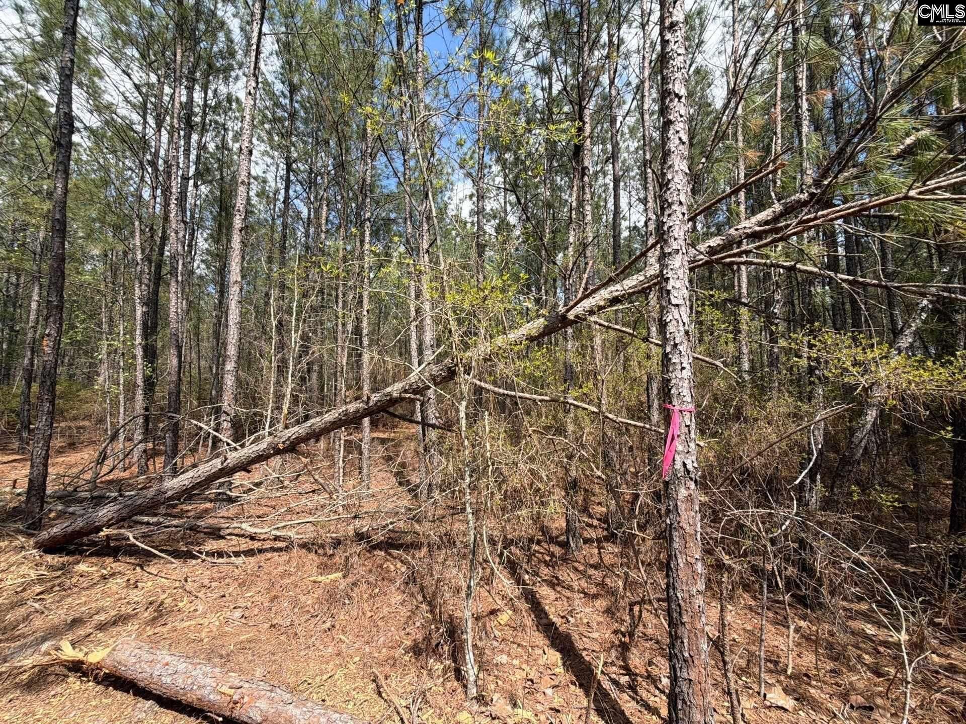 Ca 4 Mt. Calvary Road  Photo 18