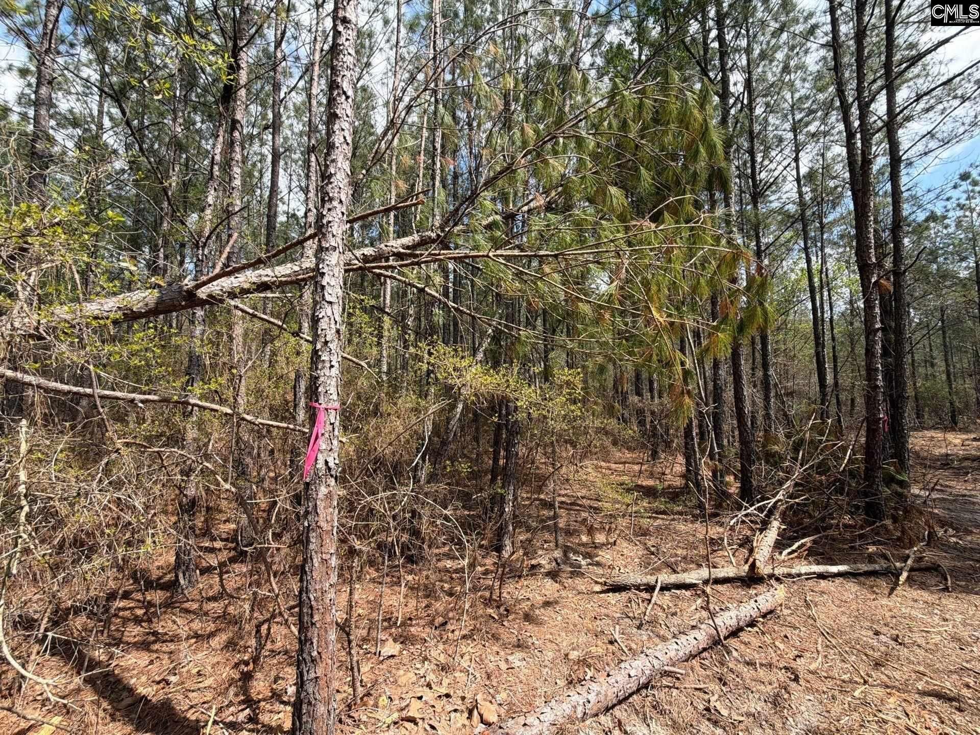 Ca 4 Mt. Calvary Road  Photo 19
