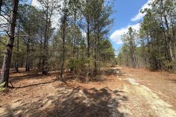 Ca 4 Mt. Calvary Road  photo 4