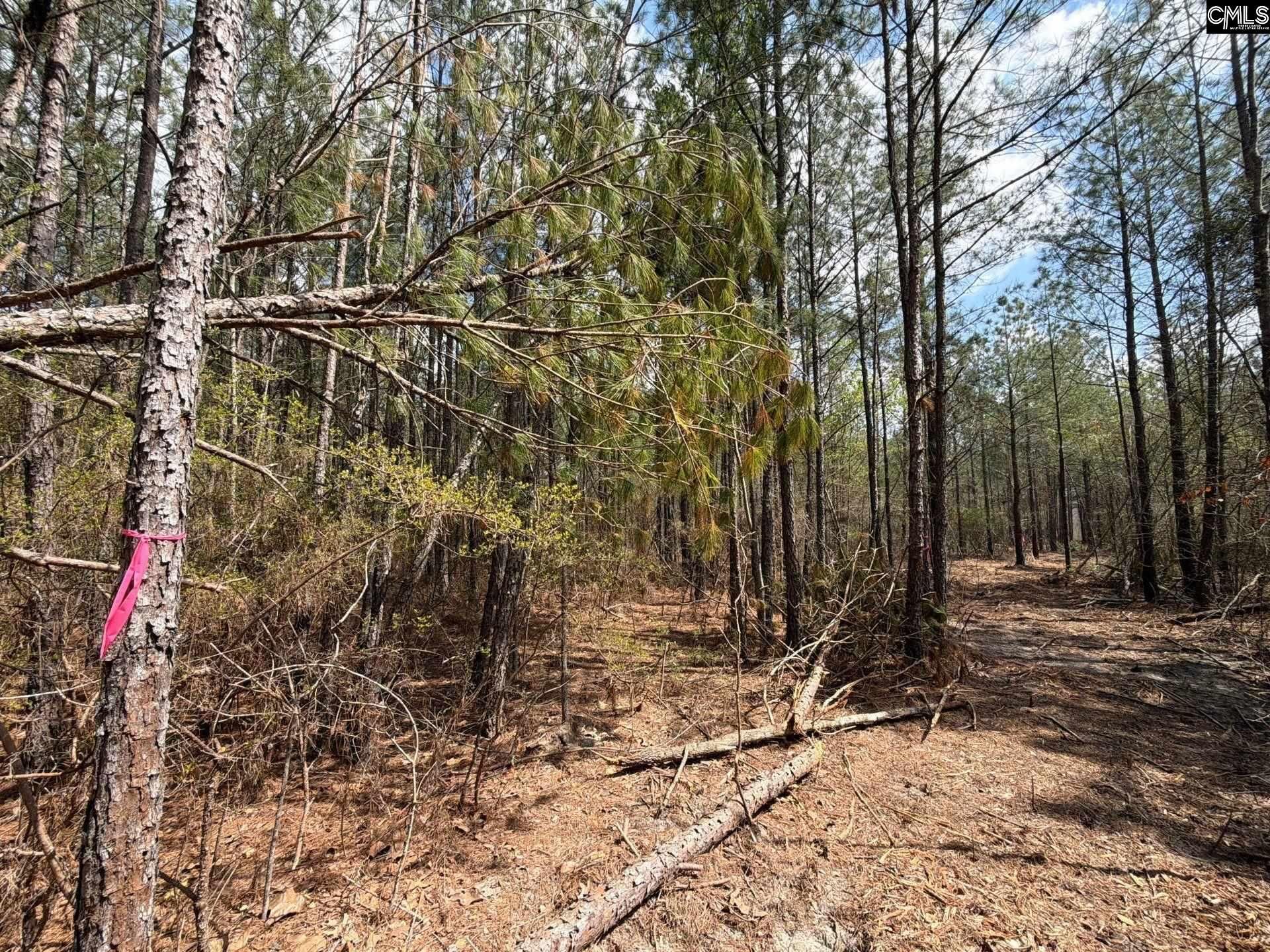 Ca 4 Mt. Calvary Road  Photo 20