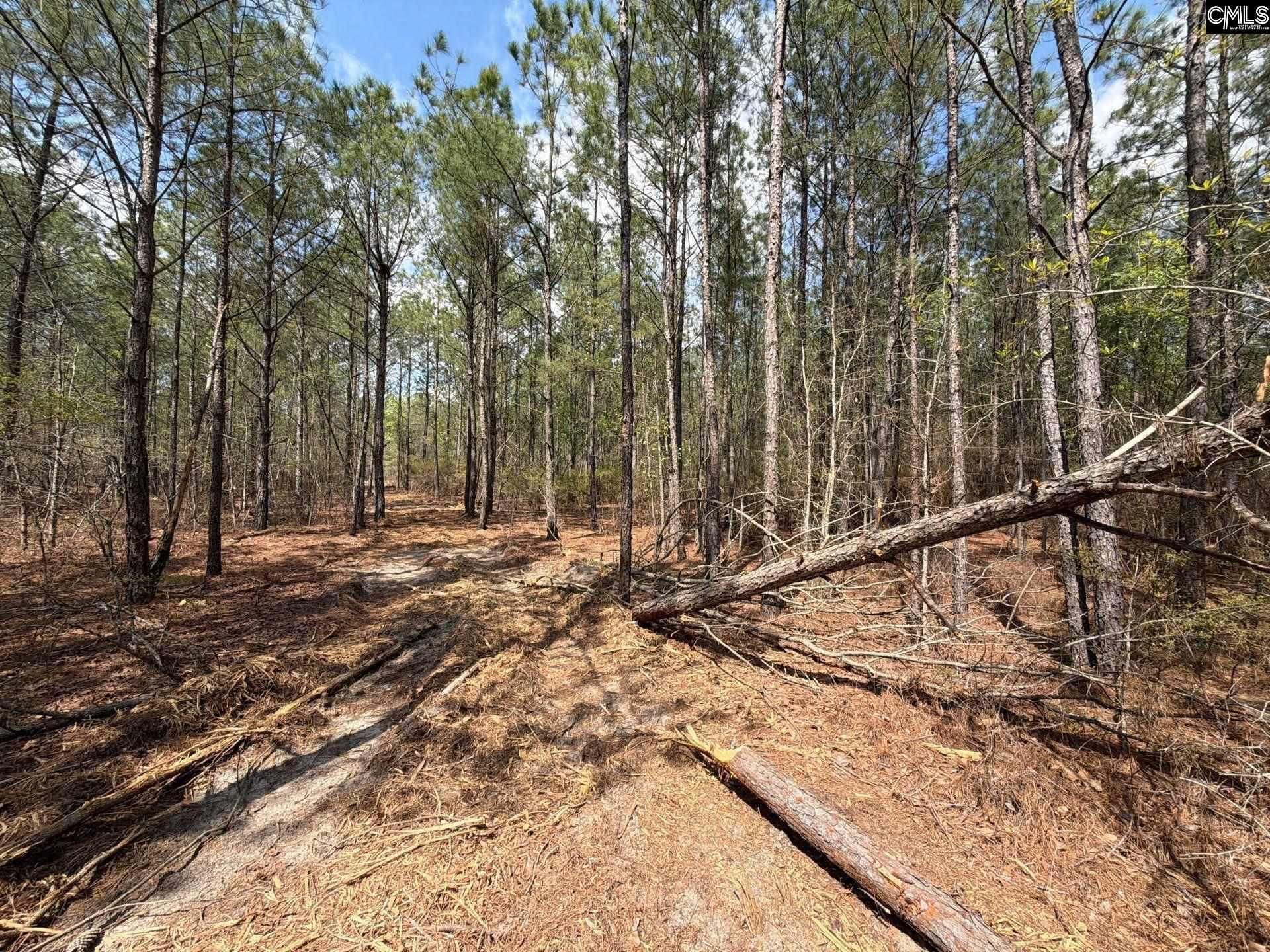 Ca 4 Mt. Calvary Road  Photo 22