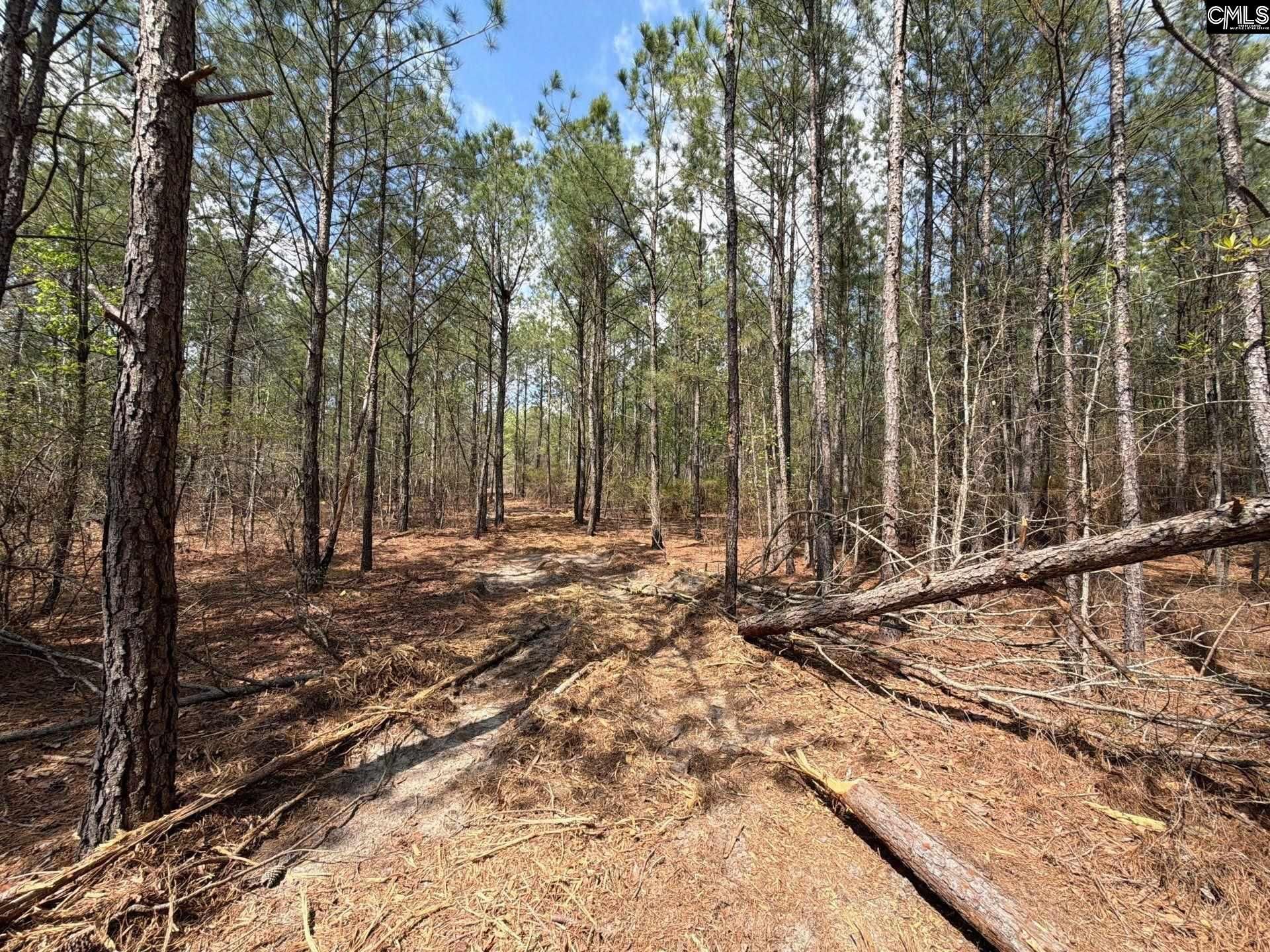Ca 4 Mt. Calvary Road  Photo 23
