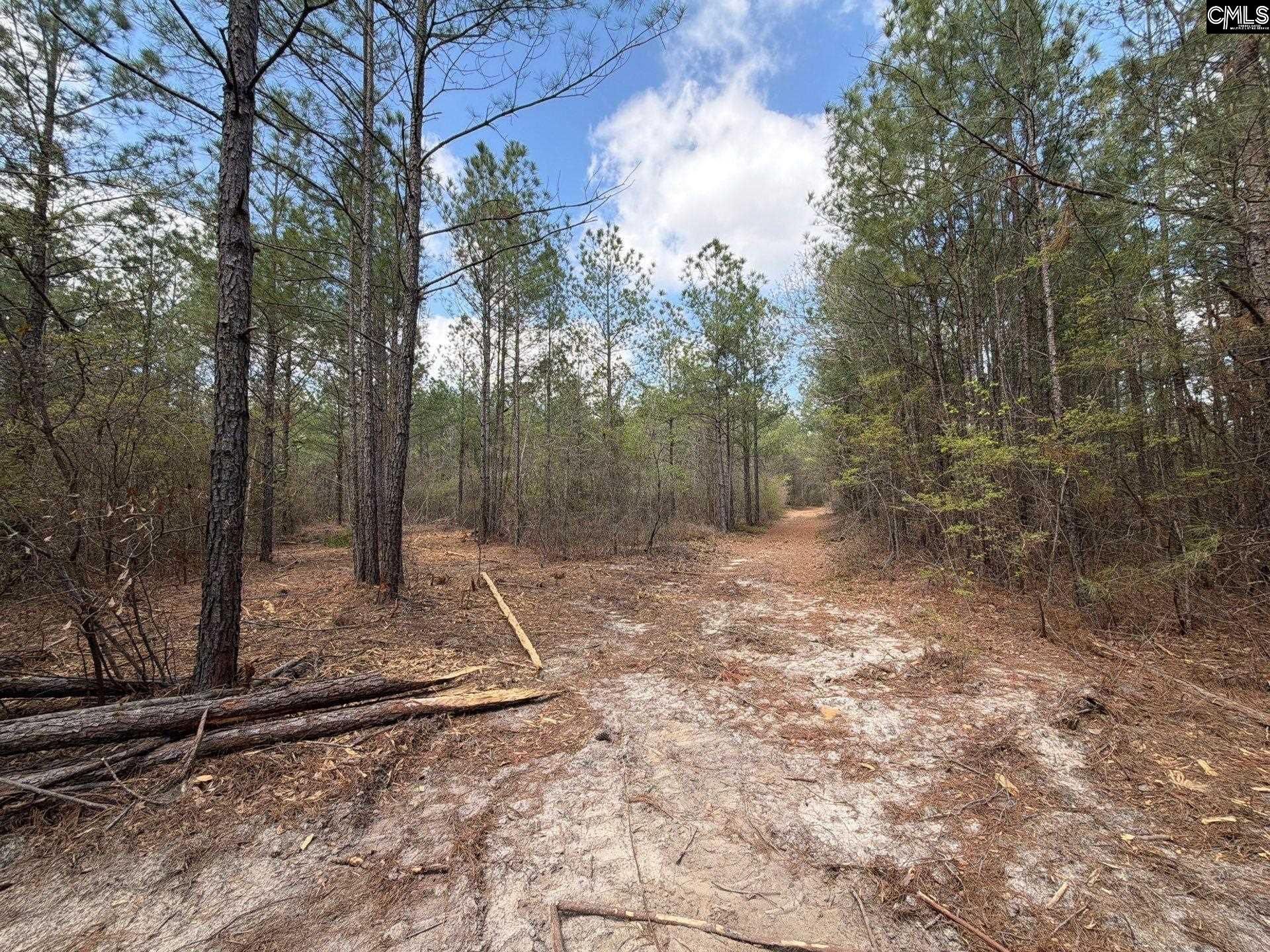 Ca 4 Mt. Calvary Road  Photo 24