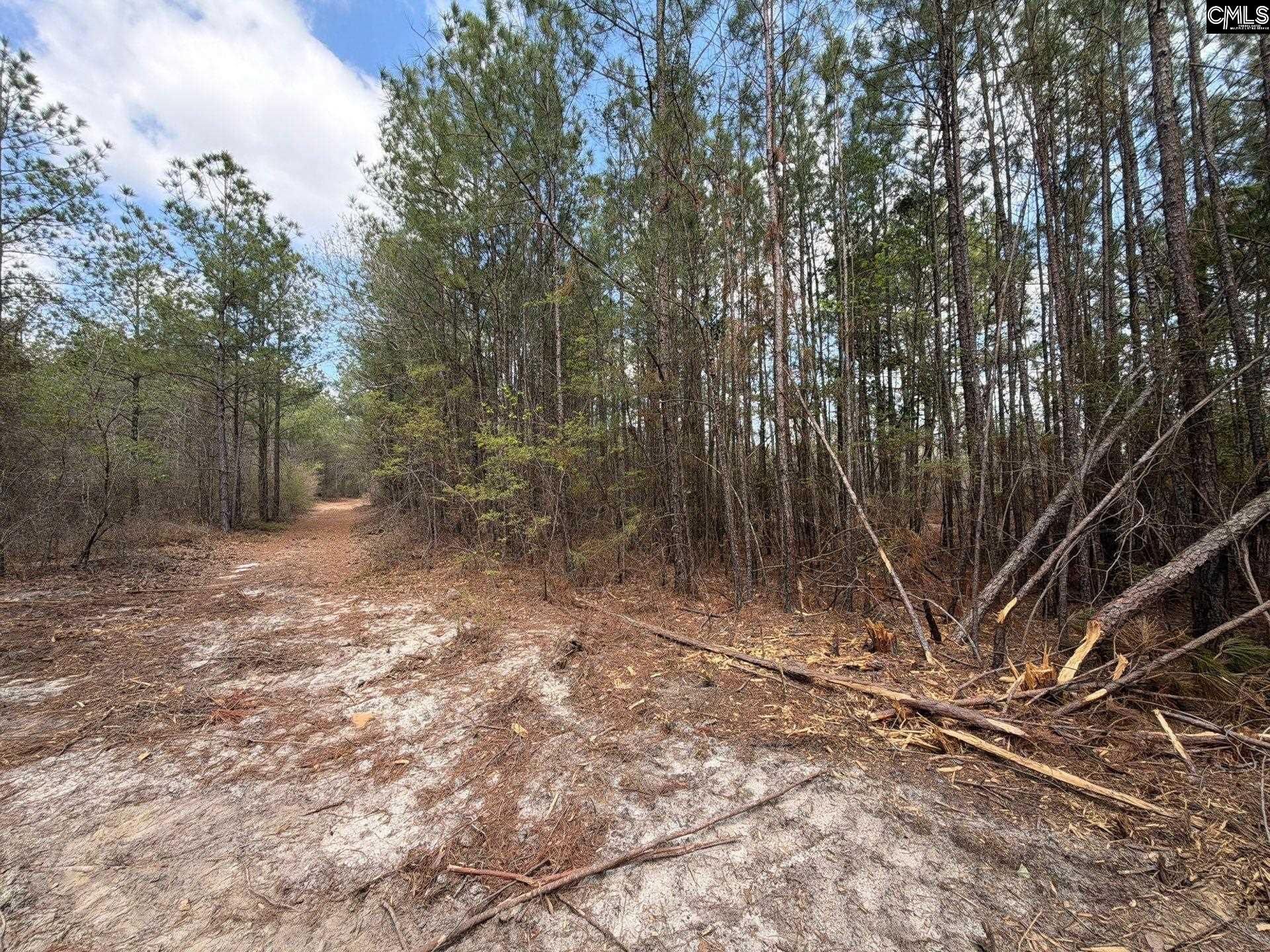 Ca 4 Mt. Calvary Road  Photo 25