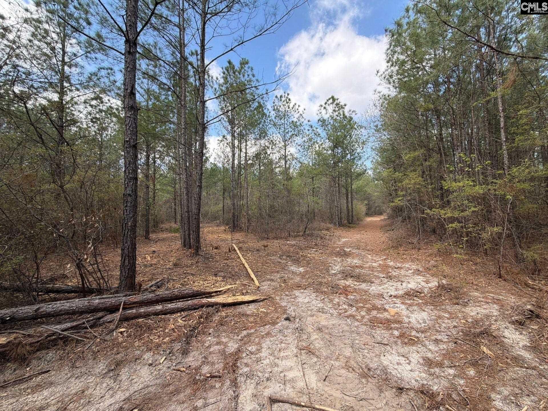 Ca 4 Mt. Calvary Road  Photo 26