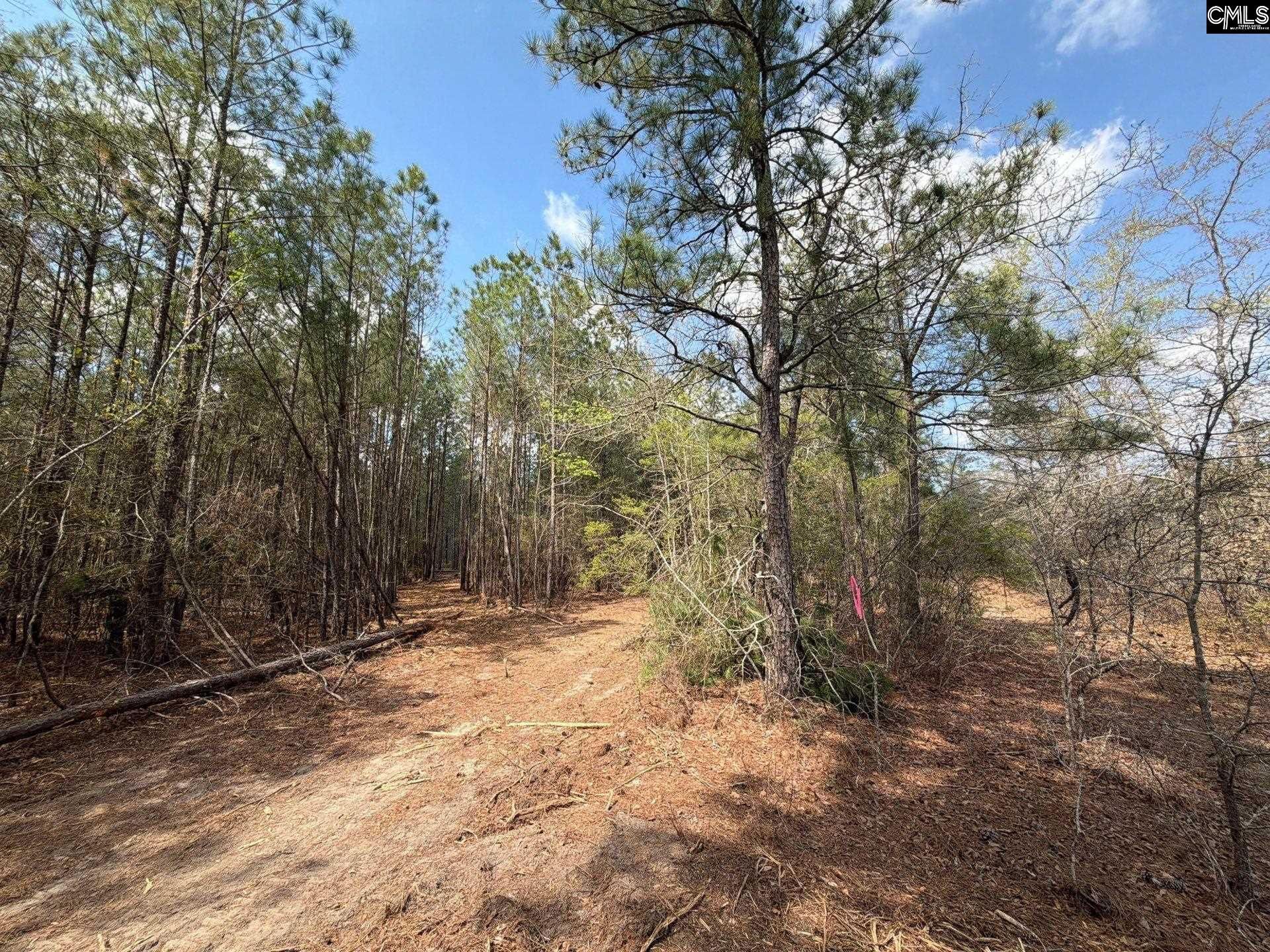 Ca 4 Mt. Calvary Road  Photo 27