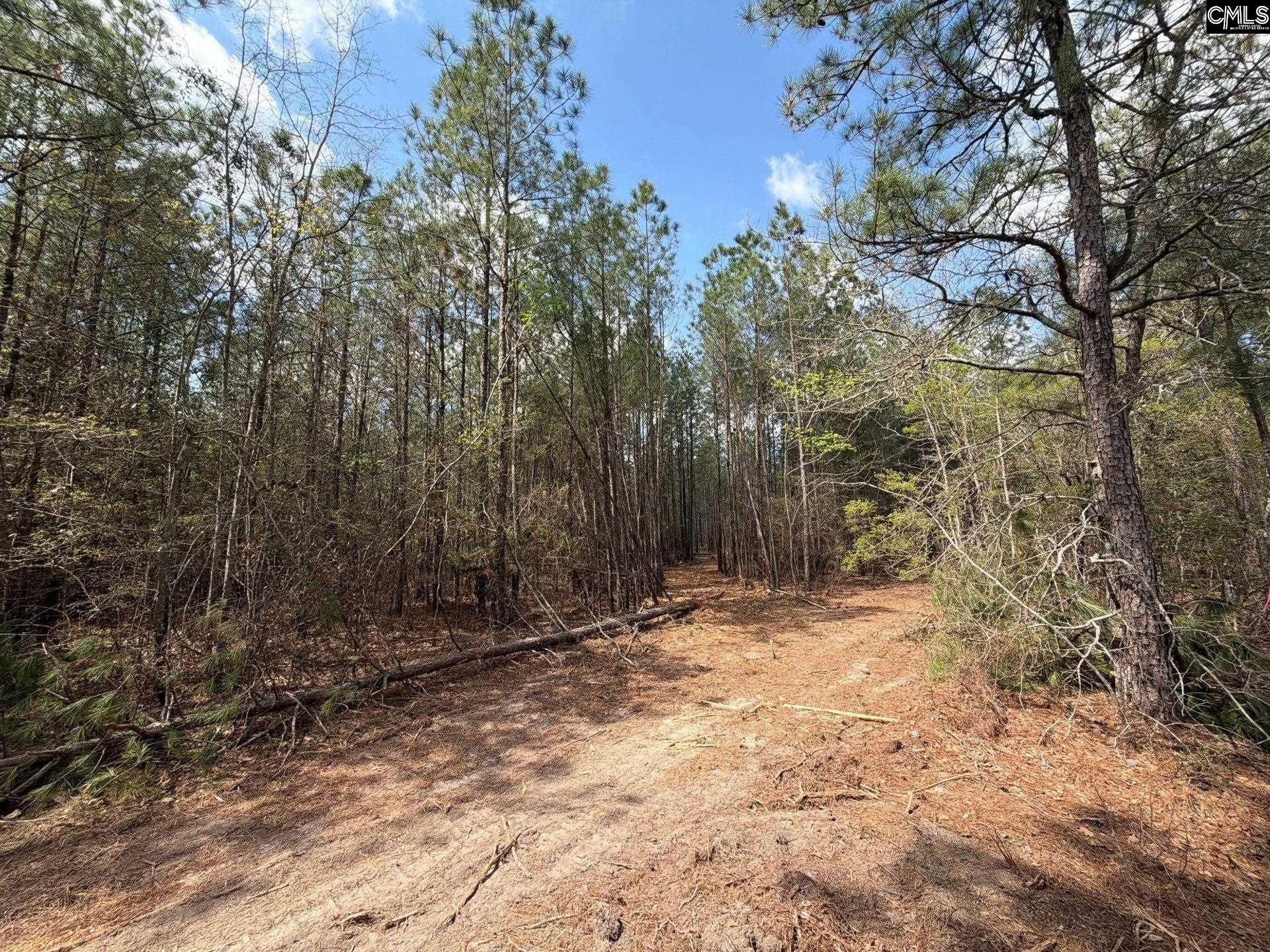 Ca 4 Mt. Calvary Road  Photo 28