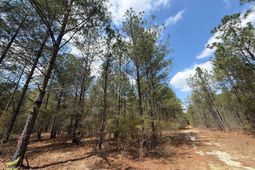 Ca 4 Mt. Calvary Road  photo 4