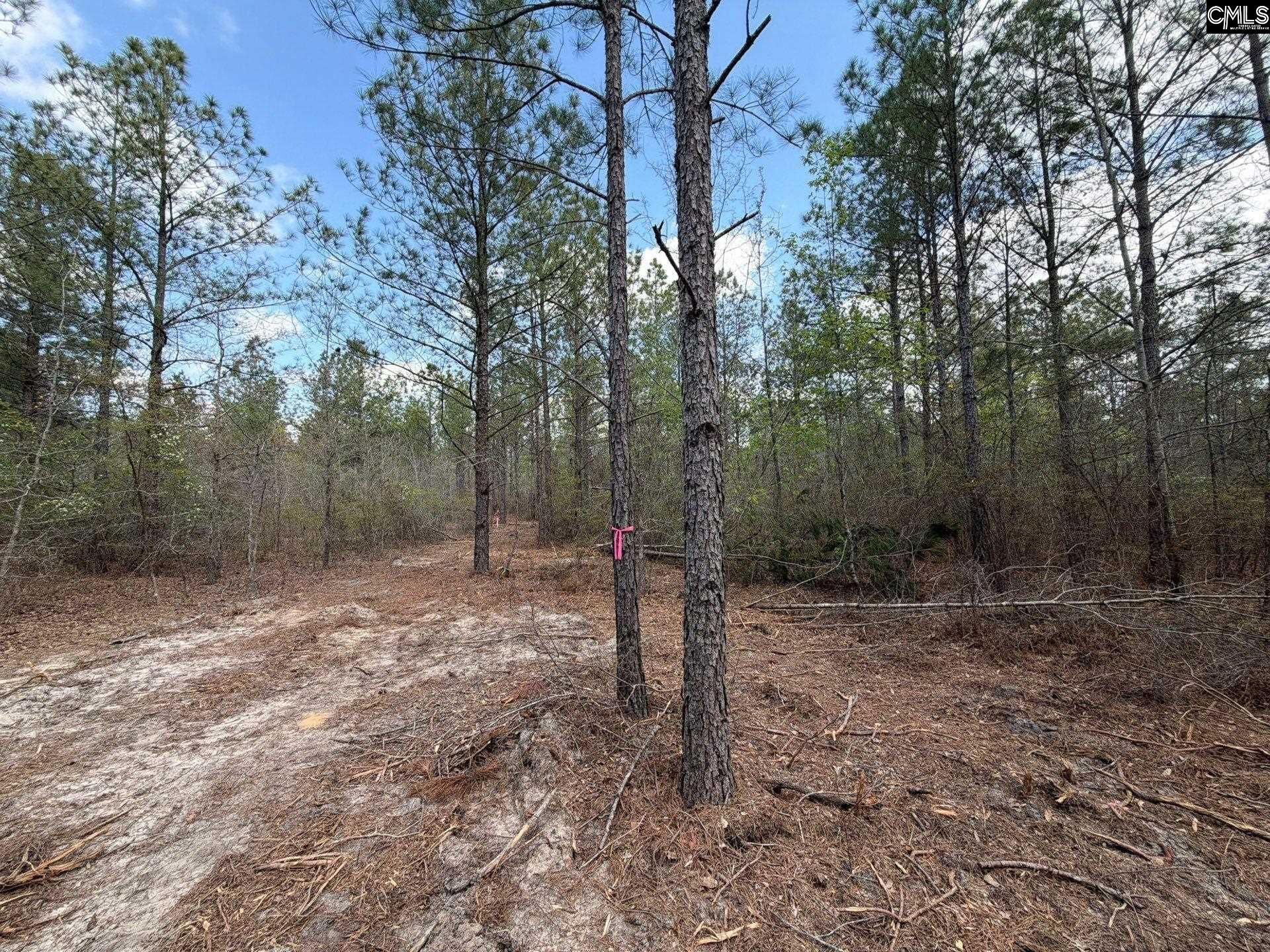 Ca 4 Mt. Calvary Road  Photo 31