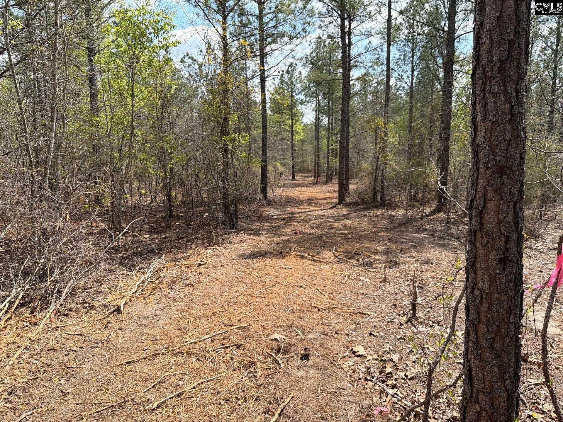 Ca 4 Mt. Calvary Road  Photo 32