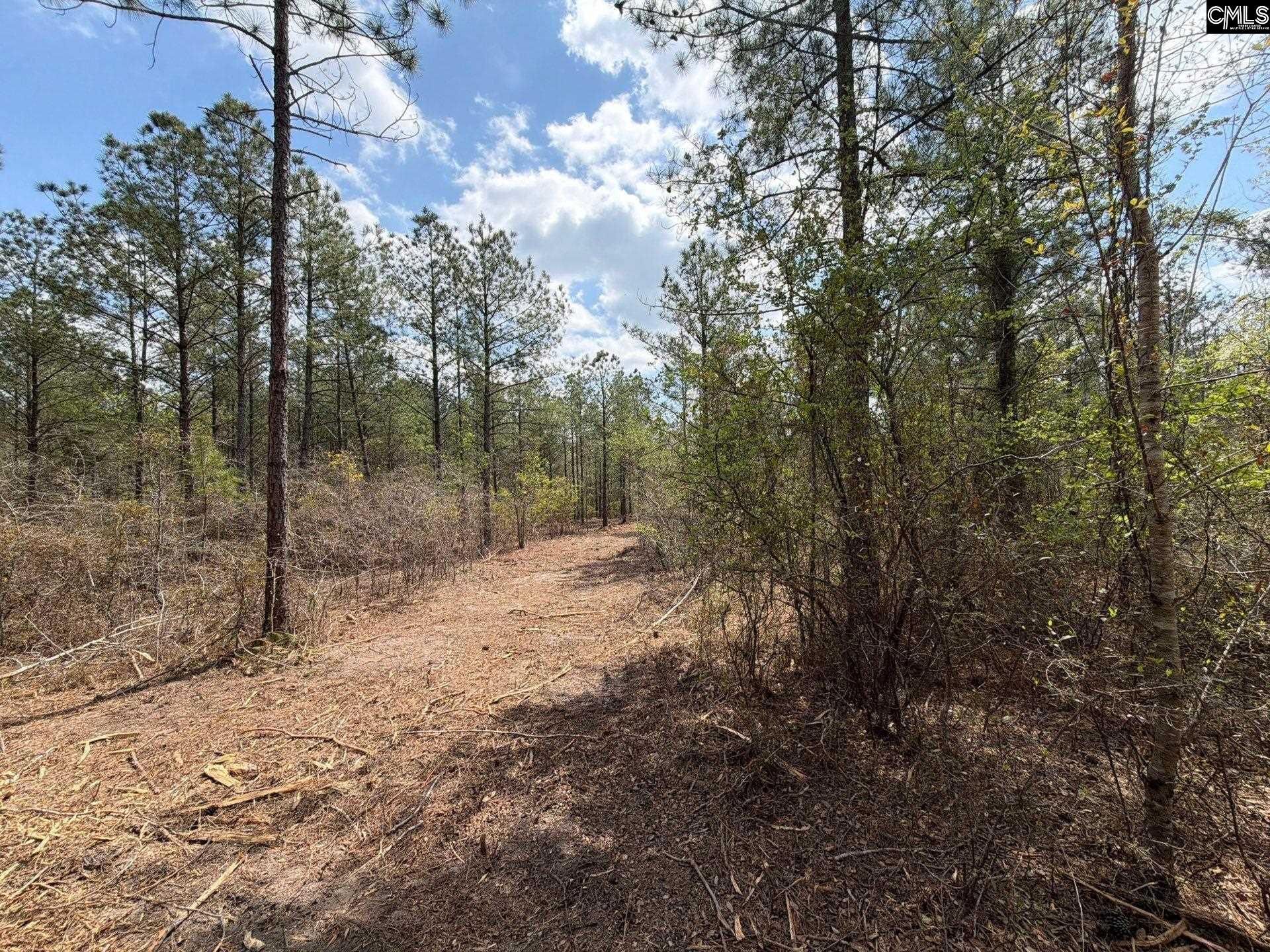 Ca 4 Mt. Calvary Road  Photo 34