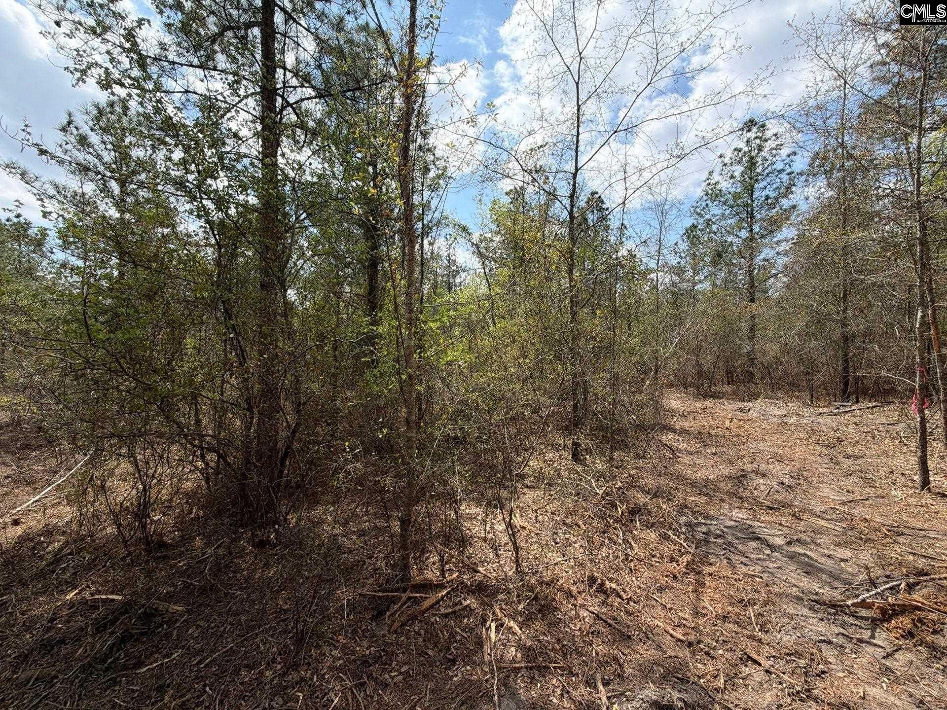 Ca 4 Mt. Calvary Road  Photo 35