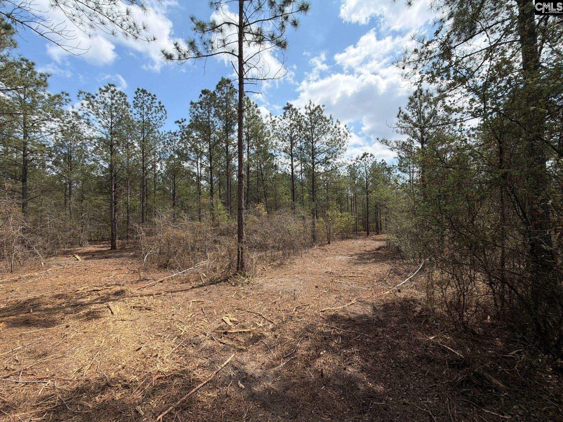 Ca 4 Mt. Calvary Road  Photo 36