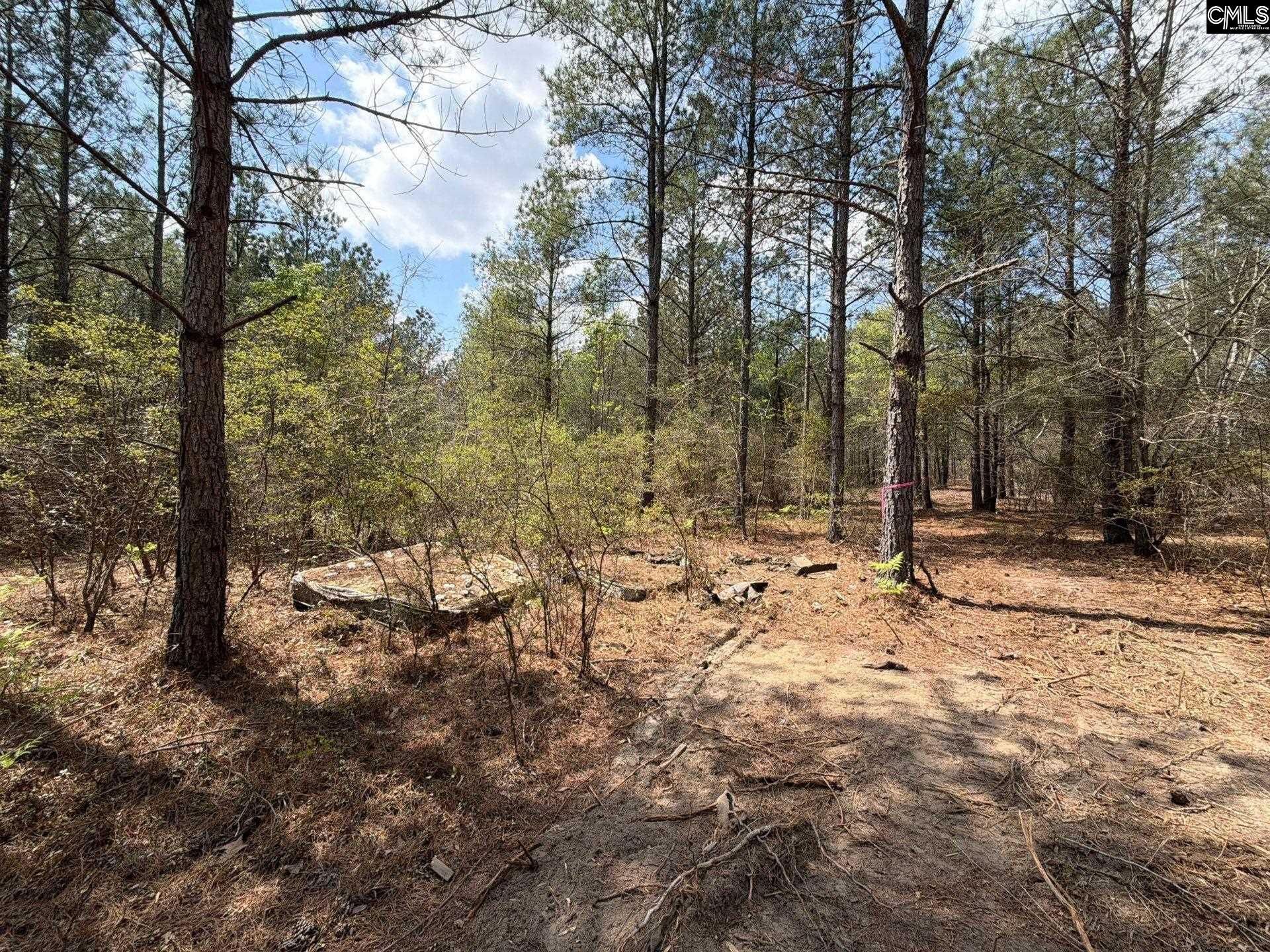Ca 4 Mt. Calvary Road  Photo 4