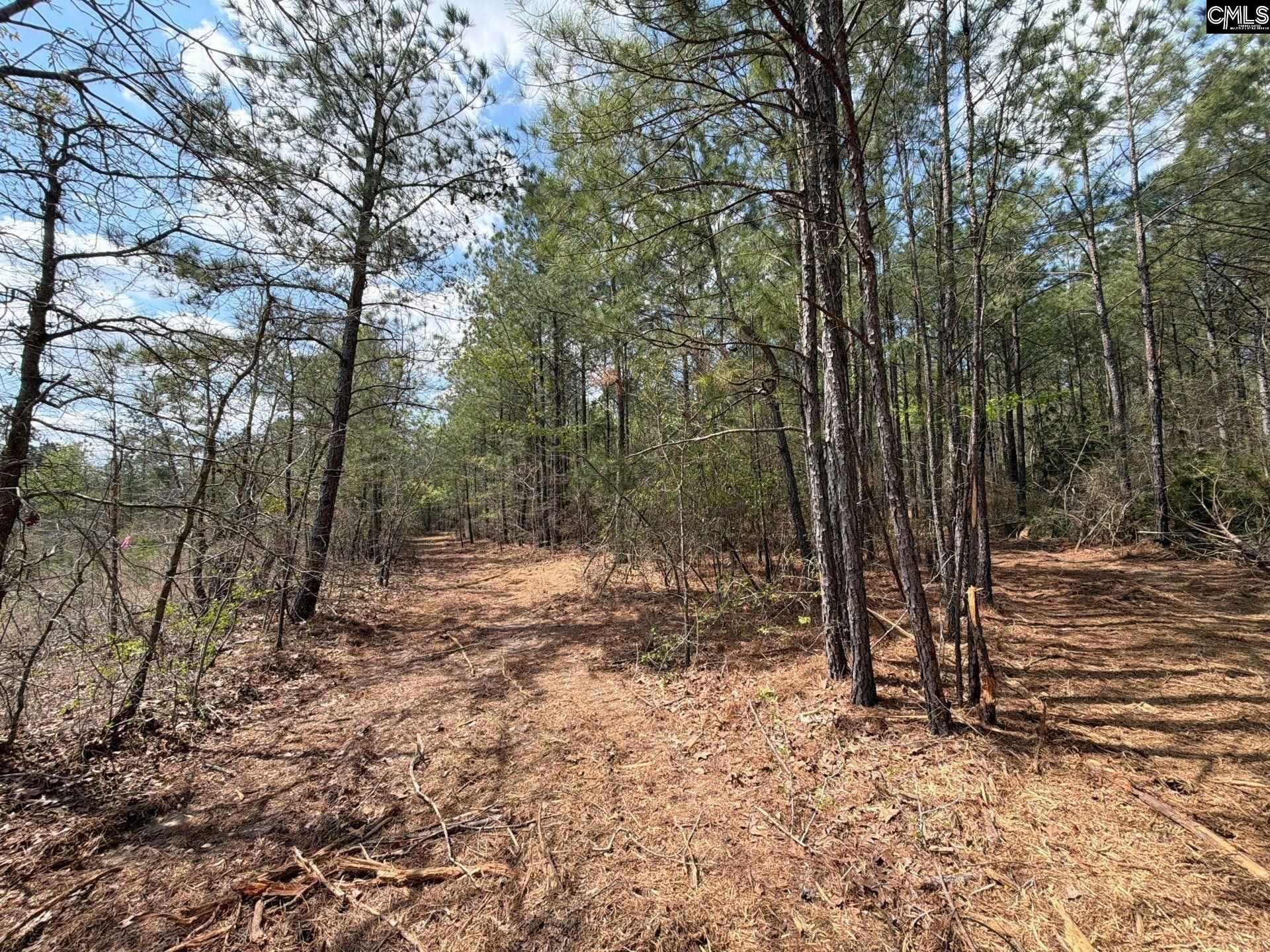 Ca 4 Mt. Calvary Road  Photo 5