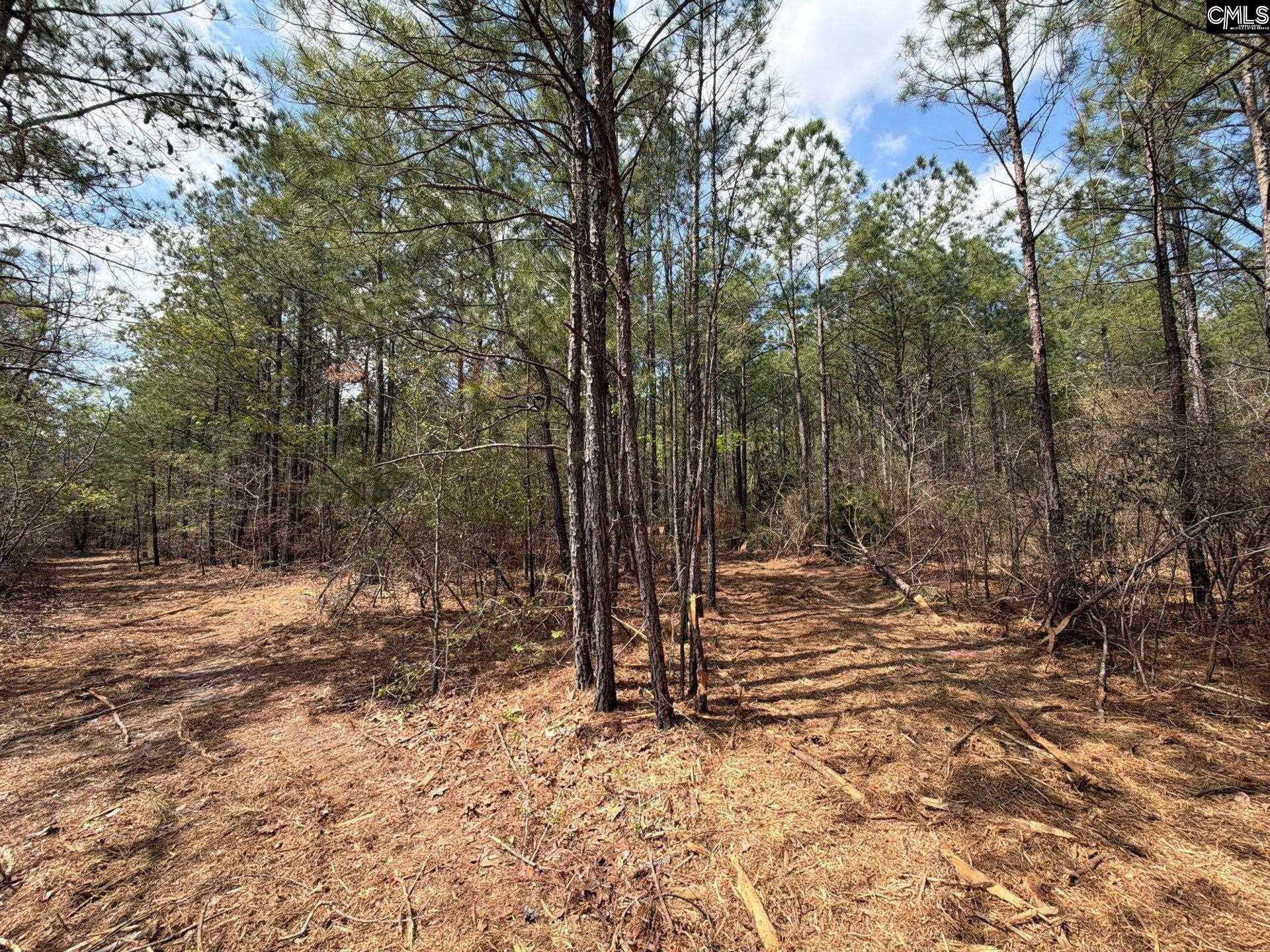 Ca 4 Mt. Calvary Road  Photo 6