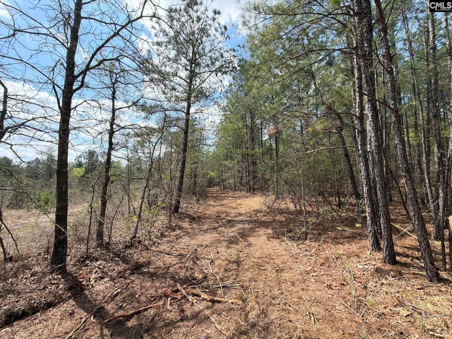 Ca 4 Mt. Calvary Road  Photo 7