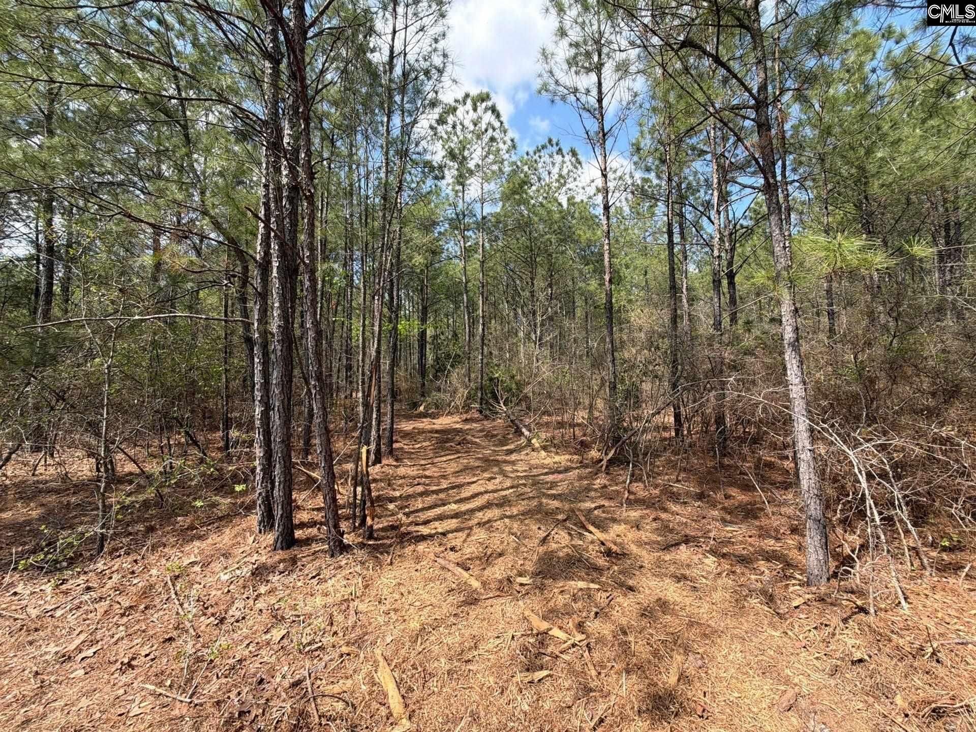 Ca 4 Mt. Calvary Road  Photo 8
