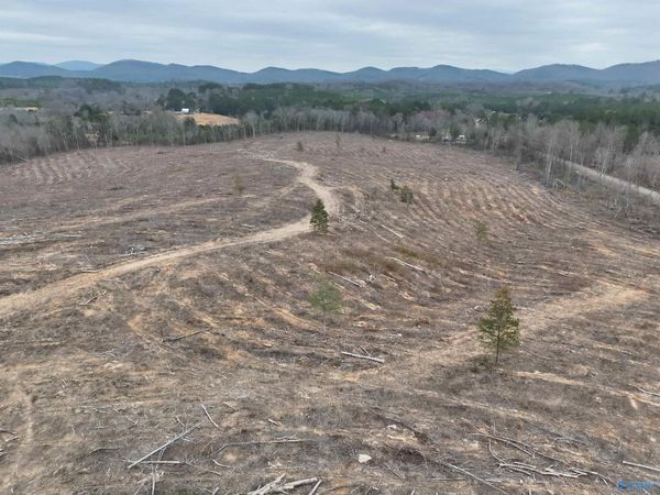 80 AC County Road 75, Cedar Bluff, AL 35959