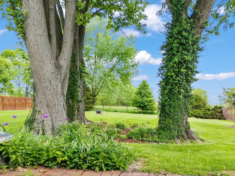 288 Gordon Road, Springfield, OH 45504 Photo 3