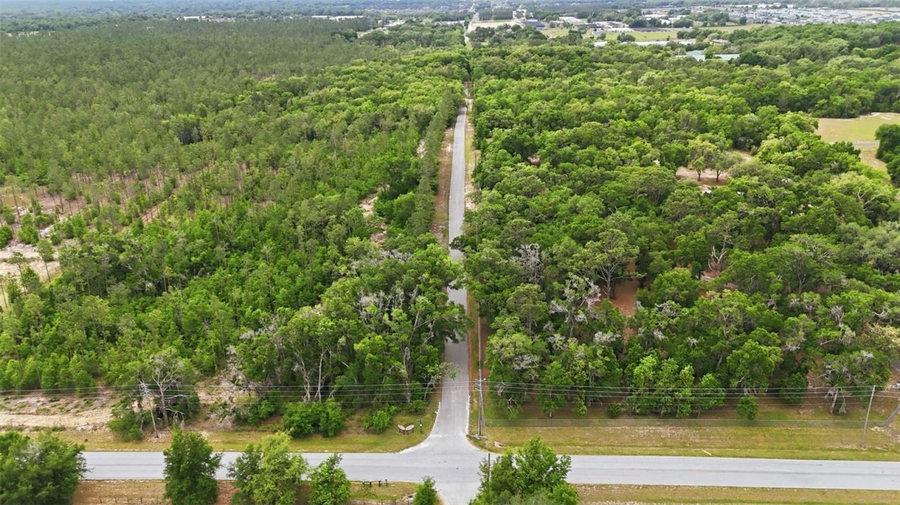 2020 Haas Road, Apopka, FL 32712 Photo
