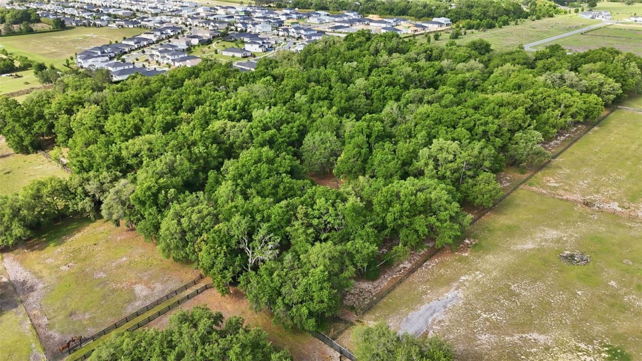 2020 Haas Road , Apopka, FL 32712 Photo