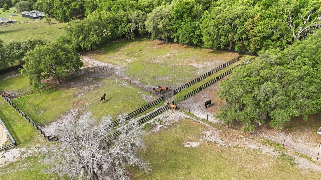 2020 Haas Road, Apopka, FL 32712 Photo