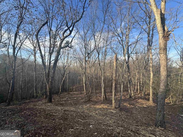 LOT 57 Teel Mtn Drive, Cleveland, GA 30528