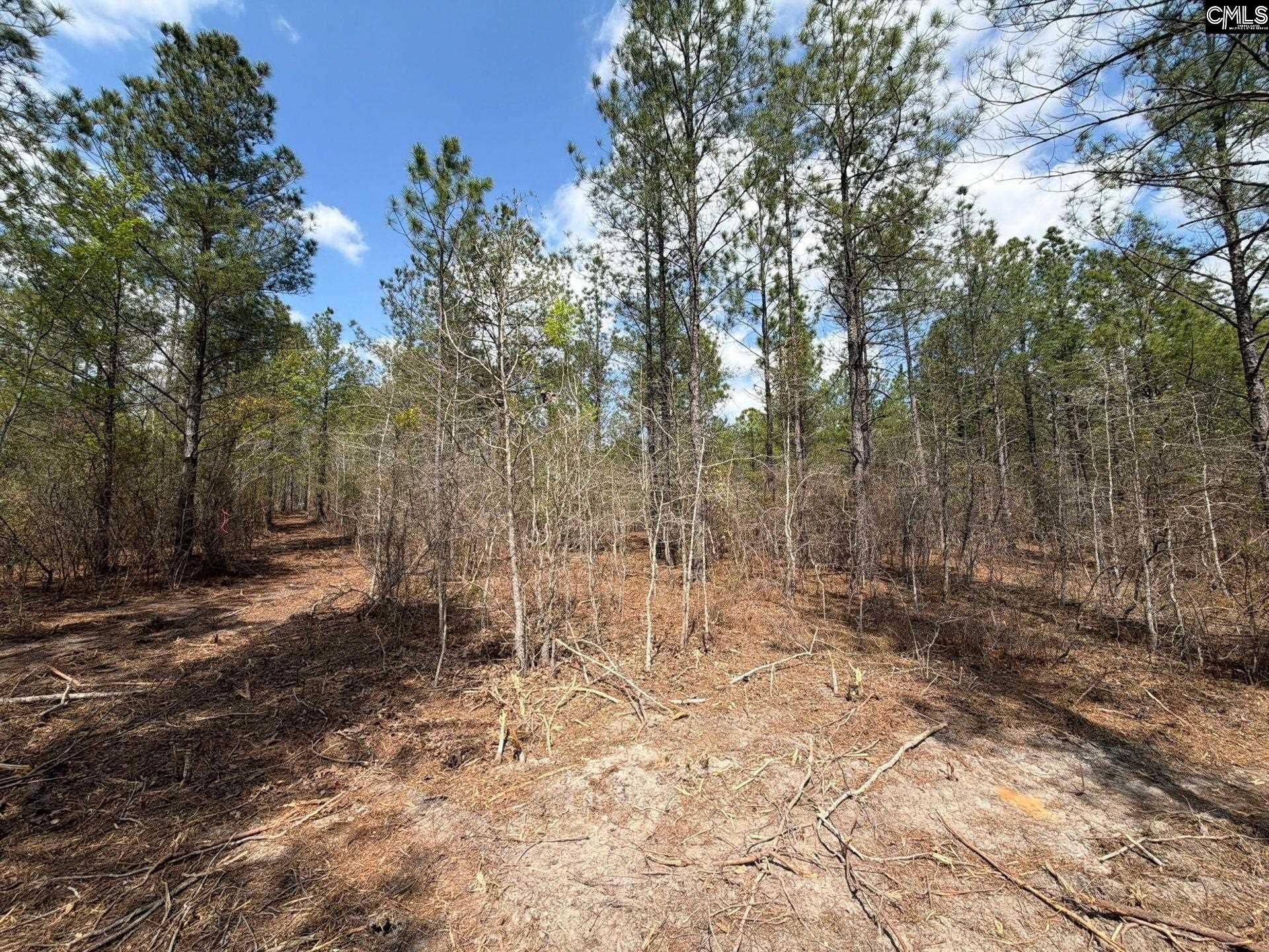 Ca 5 Mt. Calvary Road  Photo 10