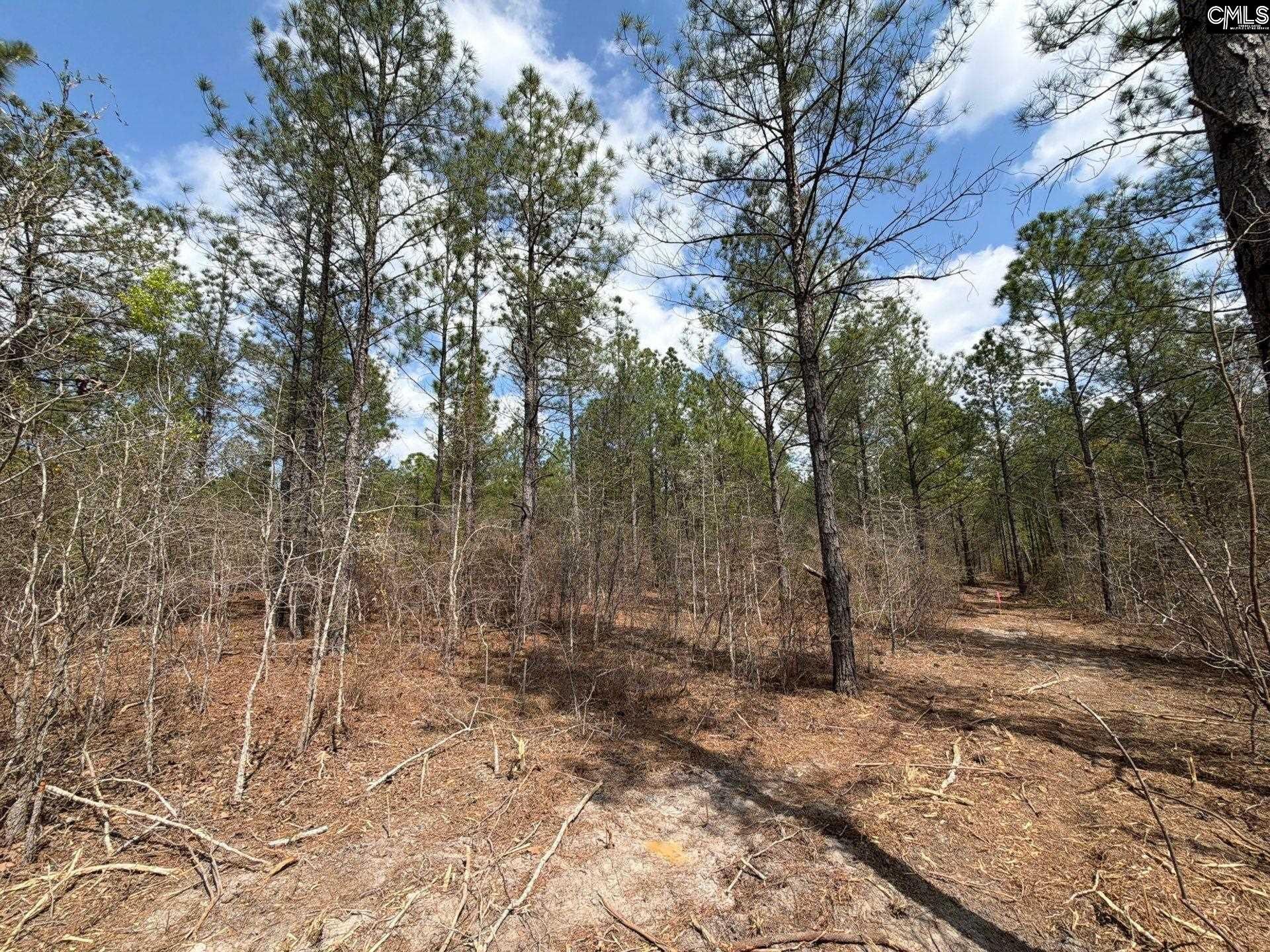 Ca 5 Mt. Calvary Road  Photo 12