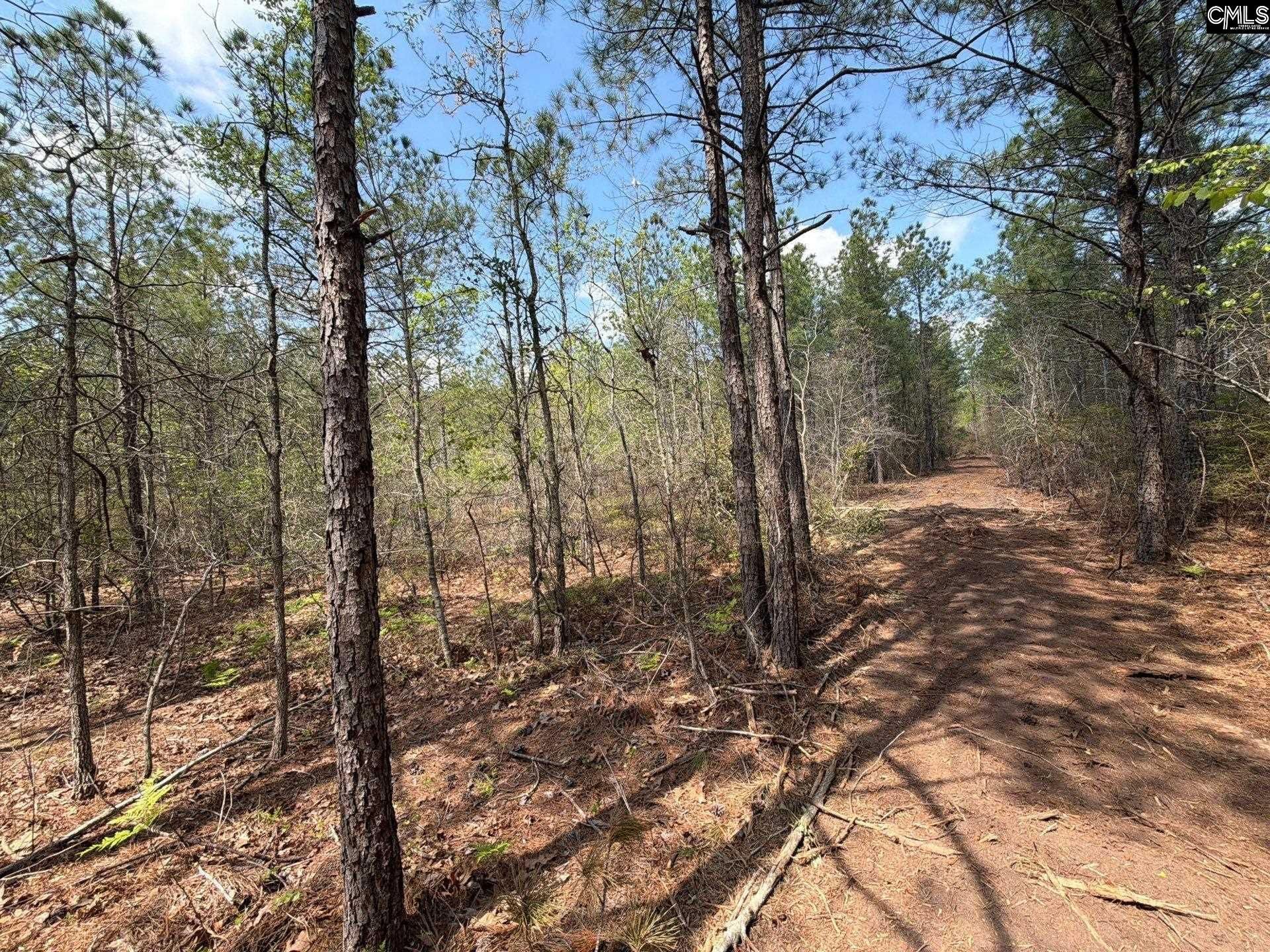 Ca 5 Mt. Calvary Road  Photo 15