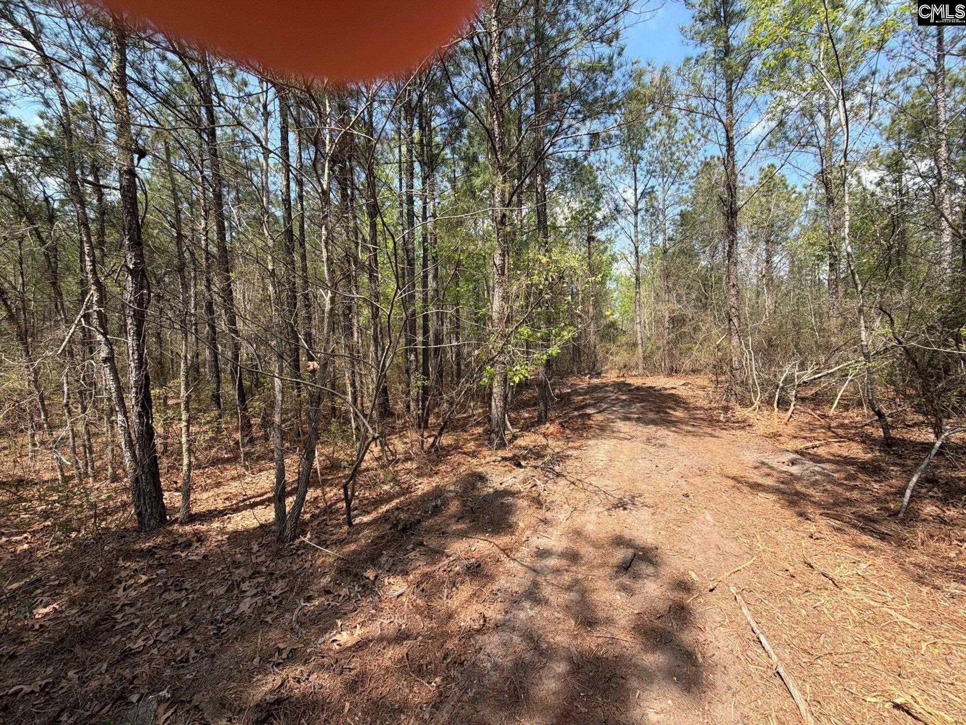 Ca 5 Mt. Calvary Road  Photo 16
