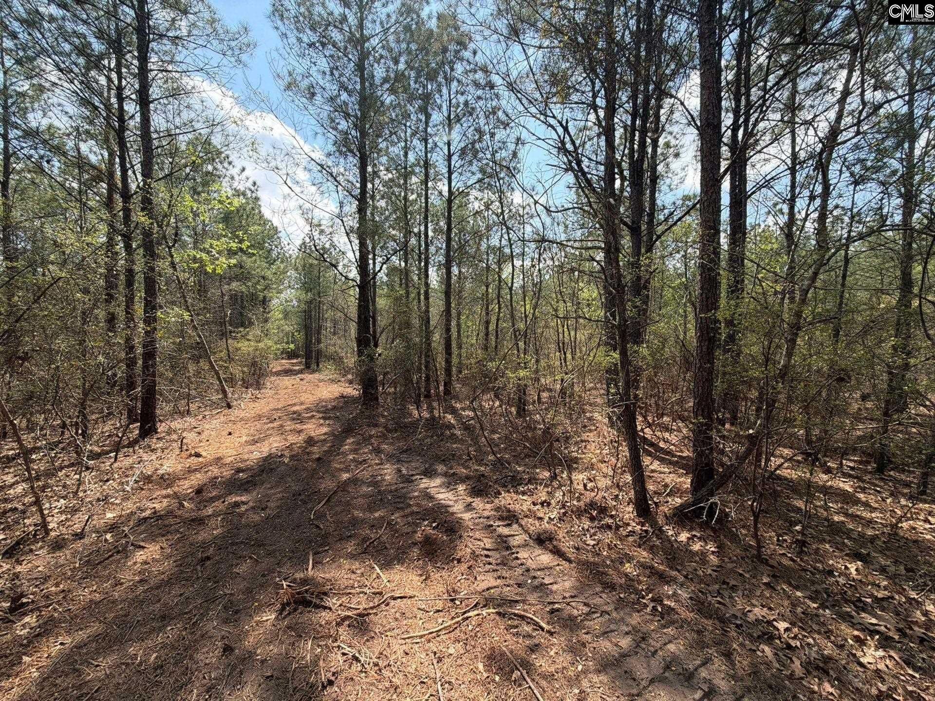 Ca 5 Mt. Calvary Road  Photo 18