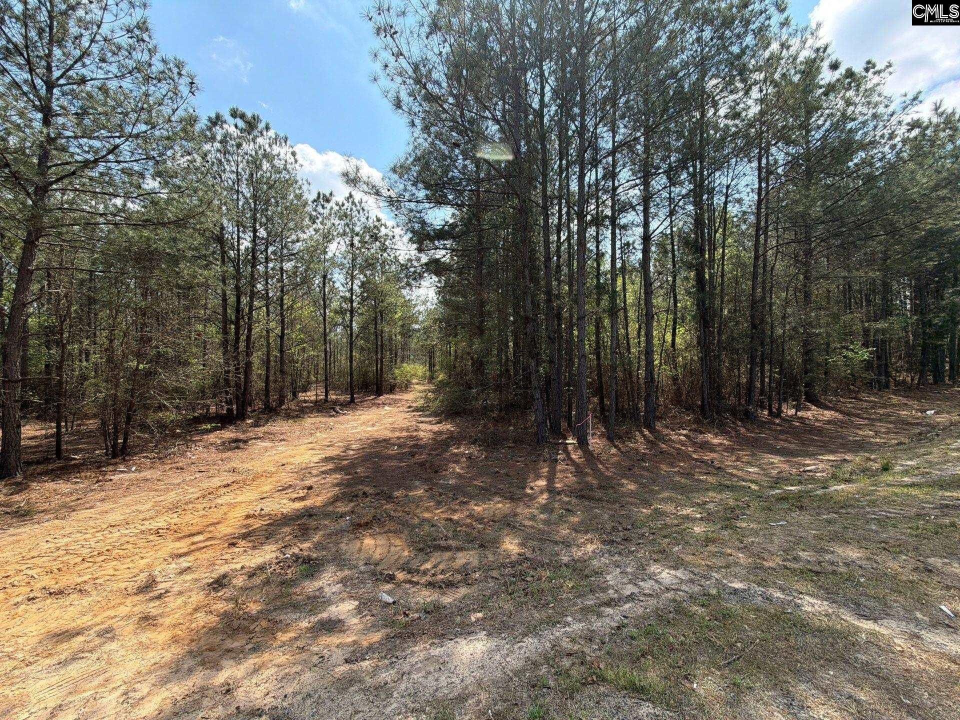 Ca 5 Mt. Calvary Road  Photo 21