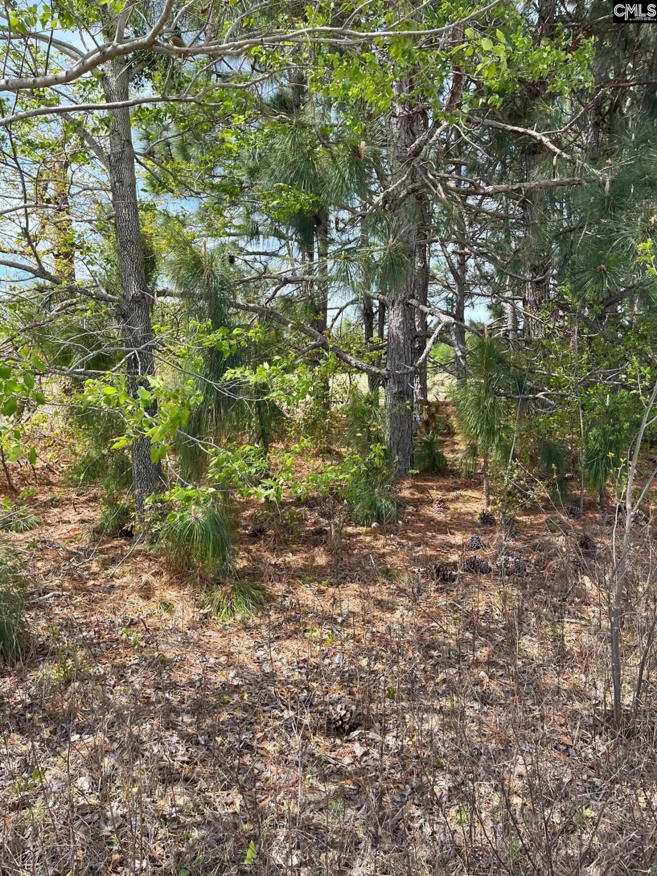 Ca 5 Mt. Calvary Road  Photo 26