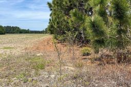 Ca 5 Mt. Calvary Road  photo 4