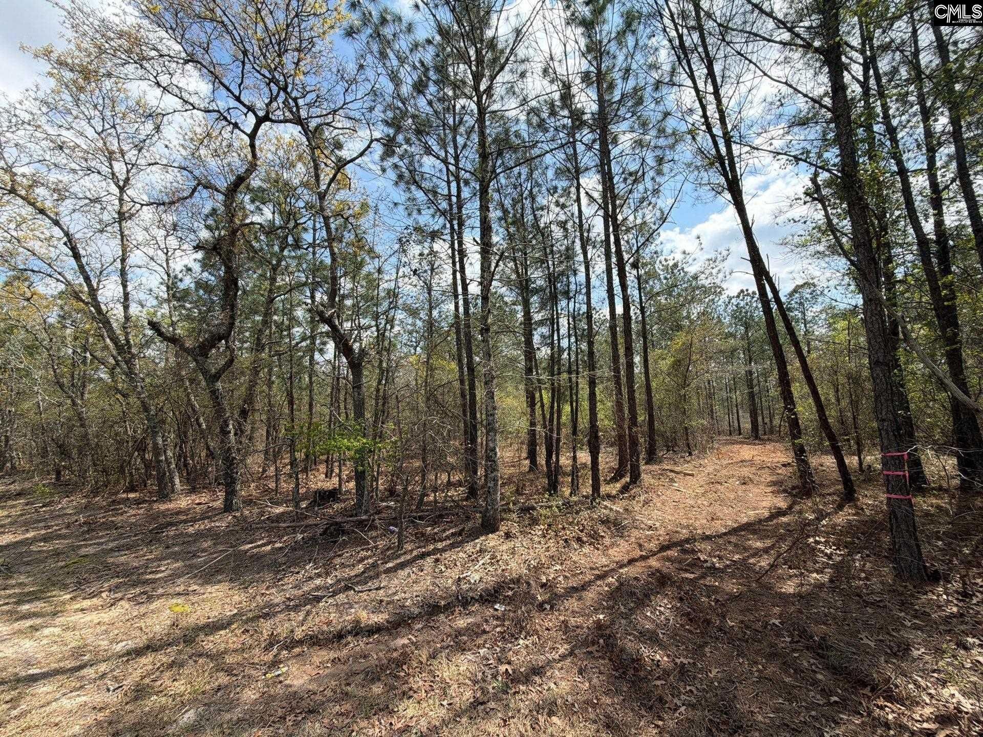 Ca 5 Mt. Calvary Road  Photo 5