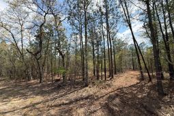 Ca 5 Mt. Calvary Road  photo 4