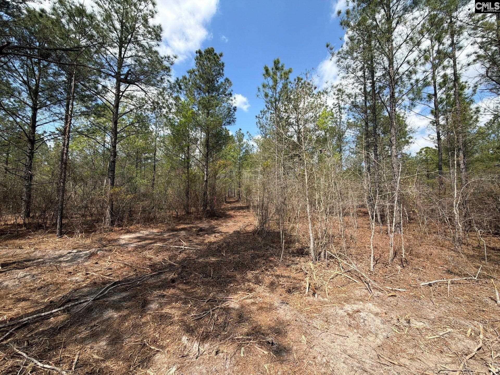 Ca 5 Mt. Calvary Road  Photo 9