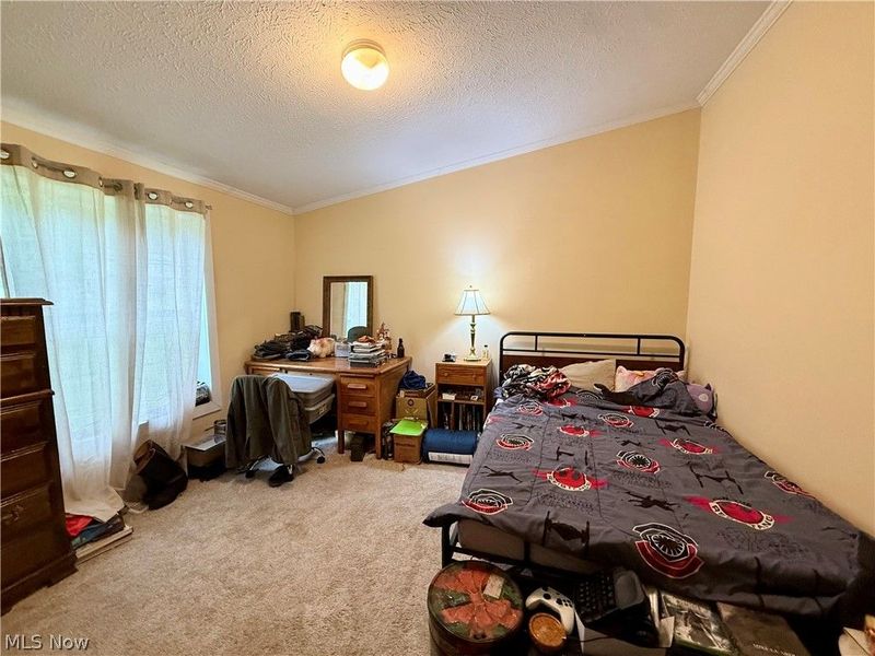 35279 State Route 800, Sardis, OH 43946 Photo 20