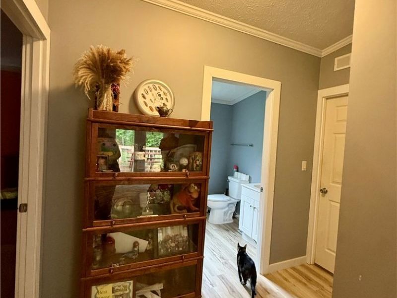 35279 State Route 800, Sardis, OH 43946 Photo 22