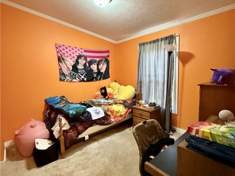 35279 State Route 800, Sardis, OH 43946 Photo 25