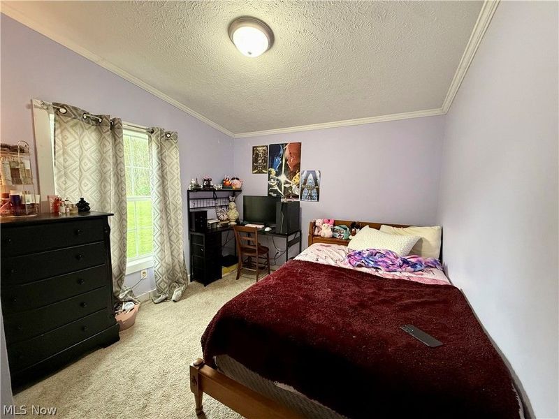 35279 State Route 800, Sardis, OH 43946 Photo 27