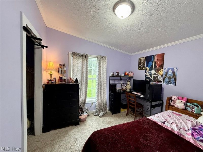 35279 State Route 800, Sardis, OH 43946 Photo 28