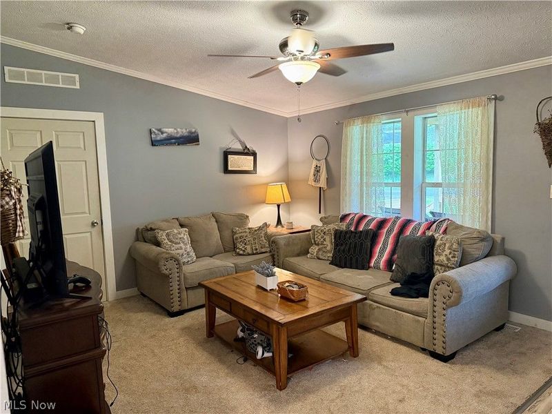 35279 State Route 800, Sardis, OH 43946 Photo 8