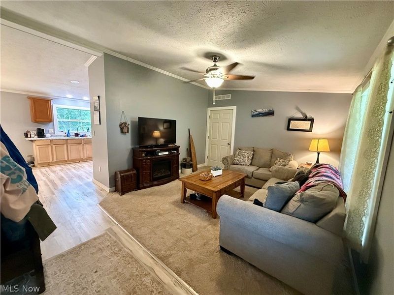 35279 State Route 800, Sardis, OH 43946 Photo 9