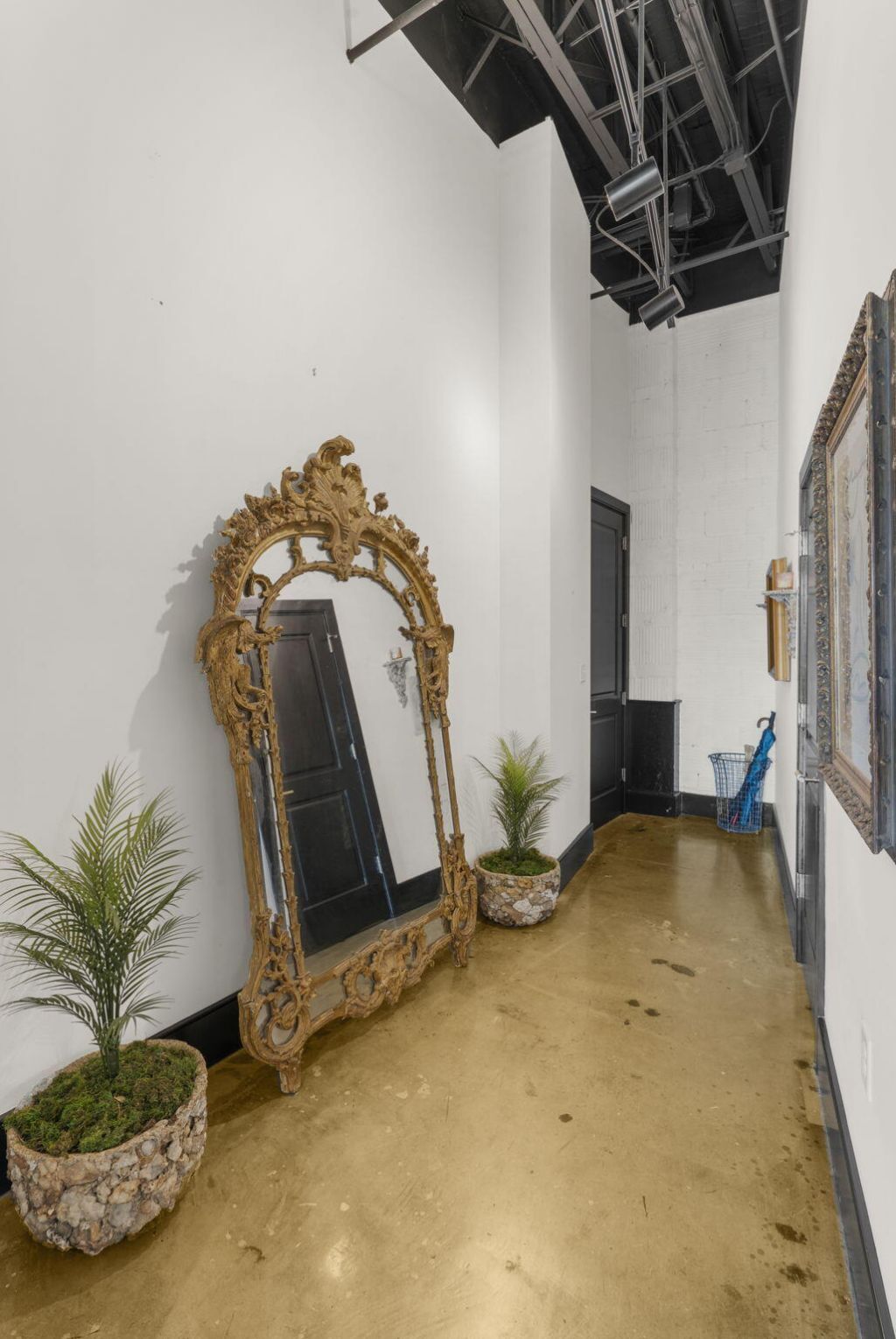 517 King Street Photo 63